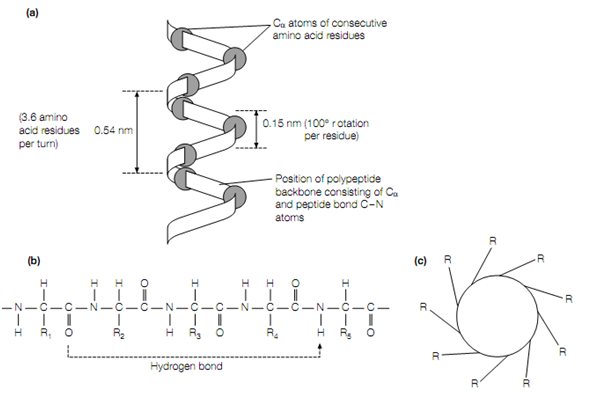 767_Secondary structure.png